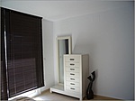pic11.jpg