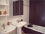 pic22.jpg