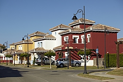 Street.jpg
