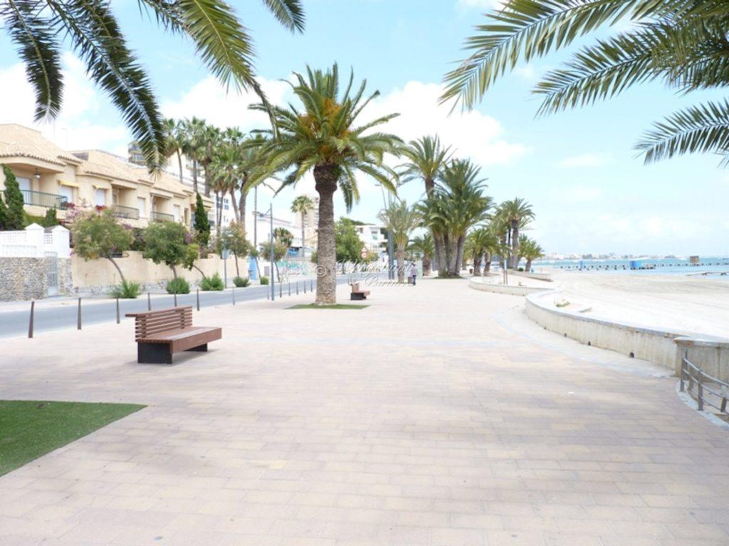  Palmer Promenade