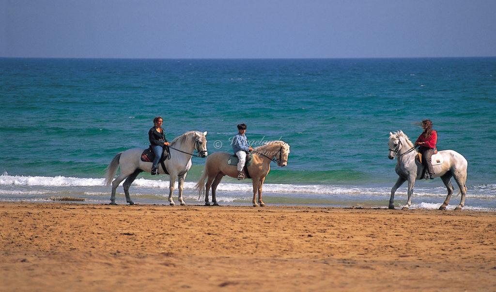  Horse Riding On The Beach