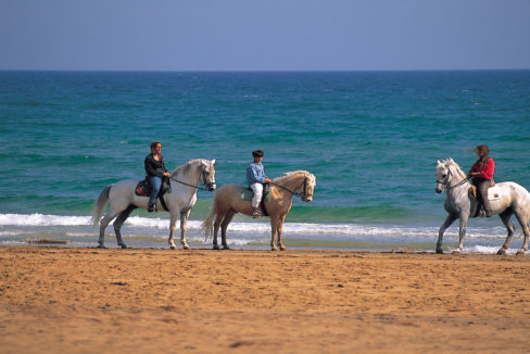 Horse Riding On The Beach