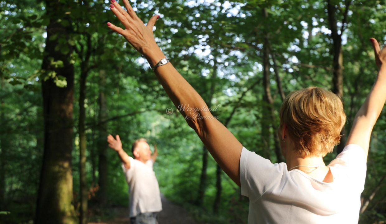 Forest Bathing