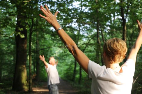Forest Bathing