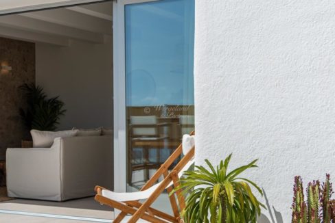 Uteområde Kaktus Og Liten Palme